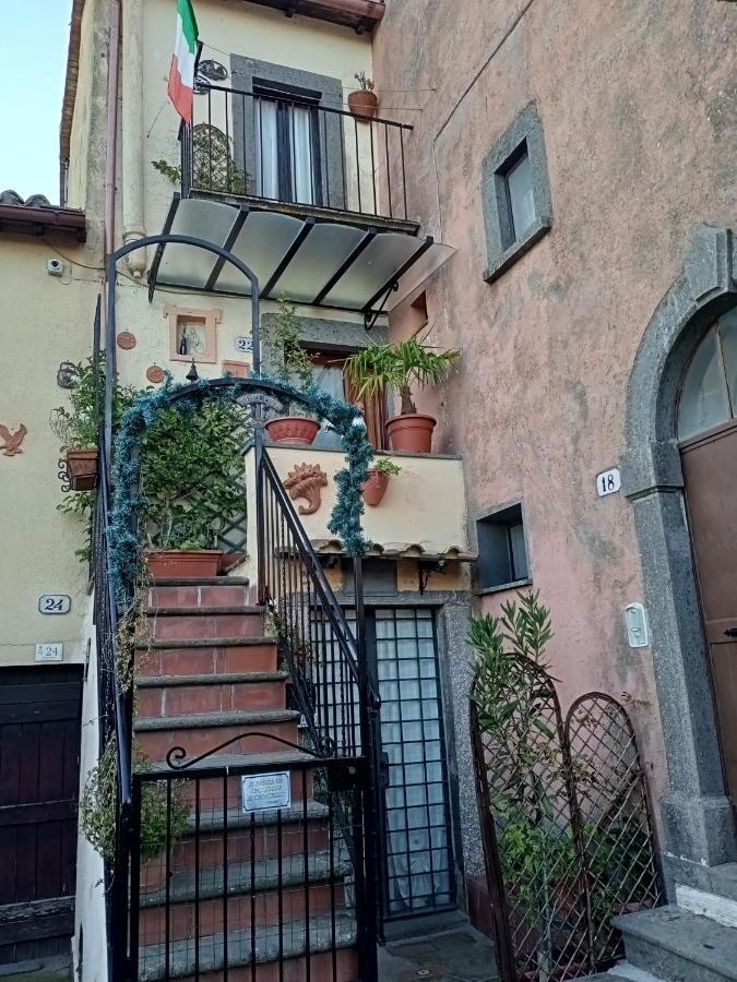 B&B Bellavista Bagnoregio Exteriör bild