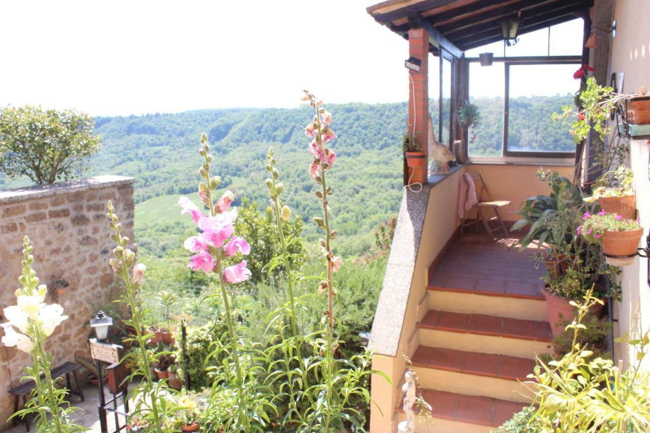 B&B Bellavista Bagnoregio Exteriör bild